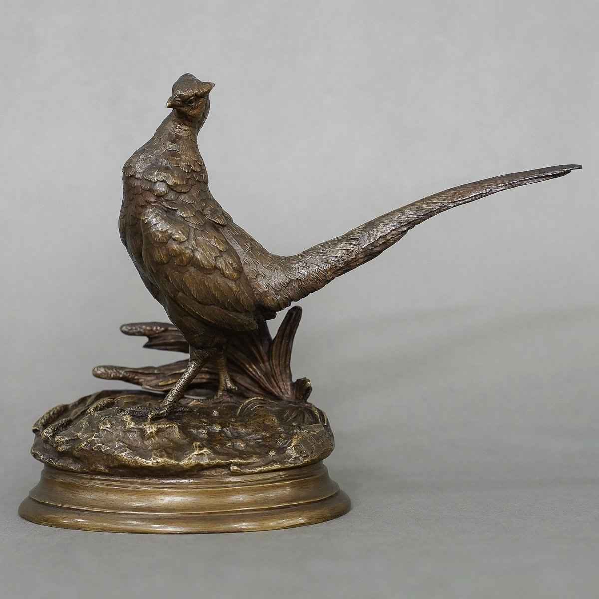 Sculpture - Pheasant , Jules Moigniez (1835-1894) - Bronze