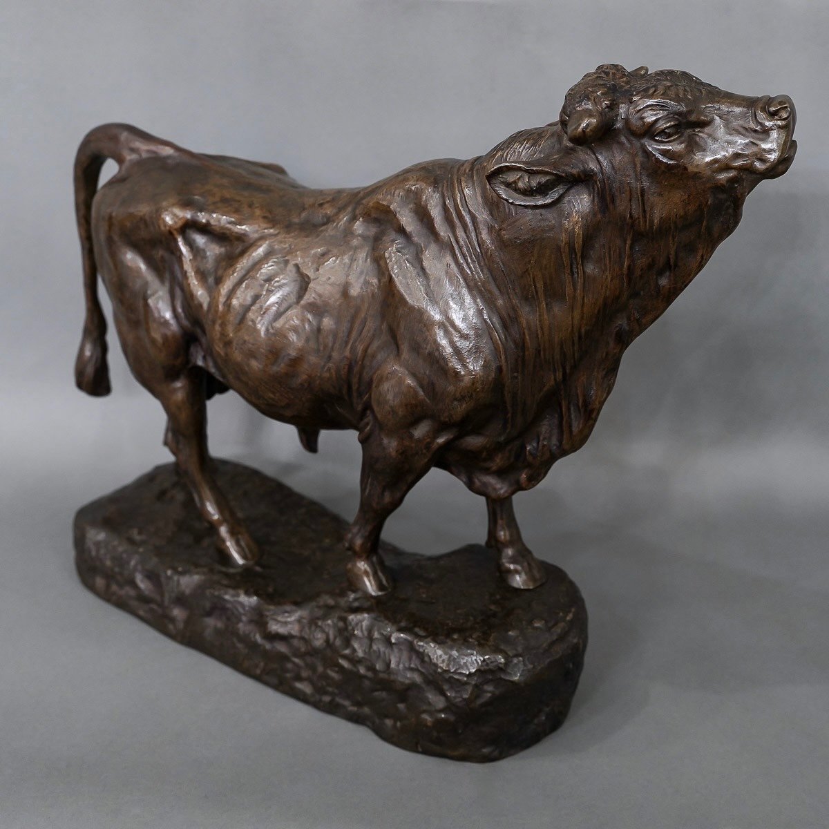 Sculpture - Bull , Clovis - Edmond Masson (1838-1913) - Bronze-photo-4