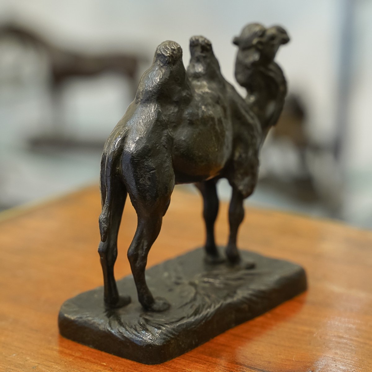 Sculpture - The Camel , Alfred Barye (1839-1895) - Bronze -photo-1