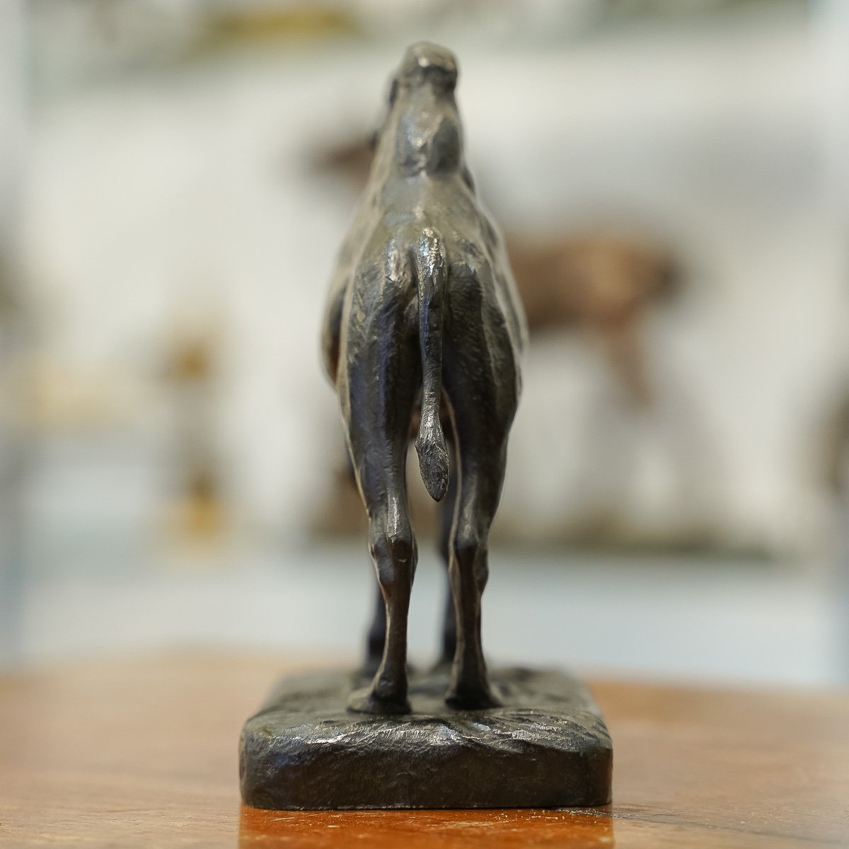 Sculpture - The Camel , Alfred Barye (1839-1895) - Bronze -photo-2