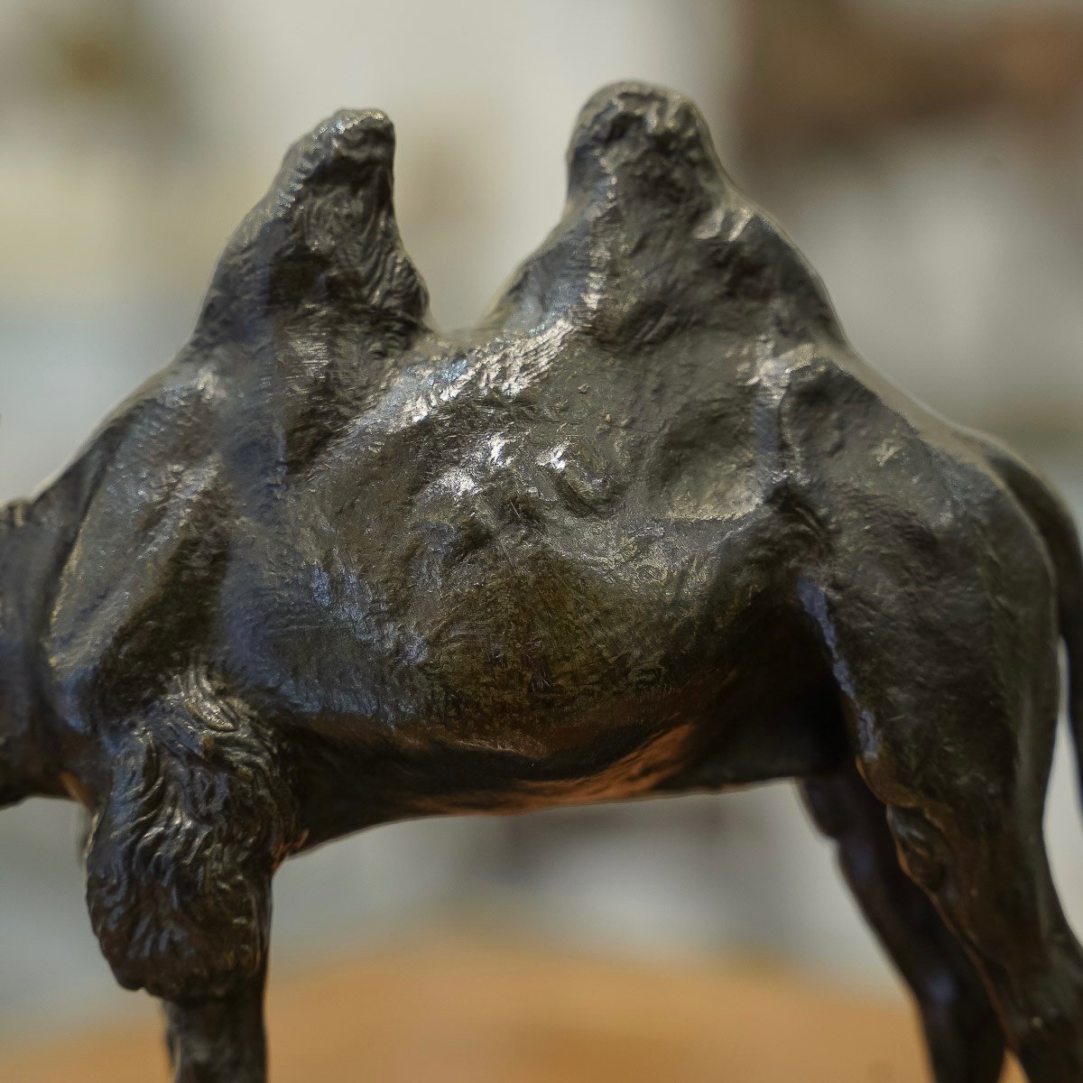 Sculpture - The Camel , Alfred Barye (1839-1895) - Bronze -photo-3