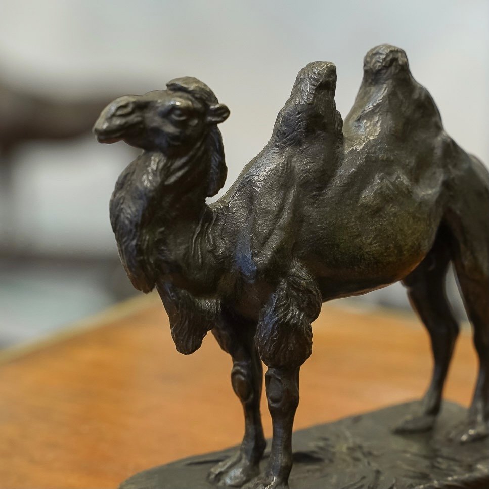 Sculpture - The Camel , Alfred Barye (1839-1895) - Bronze -photo-4