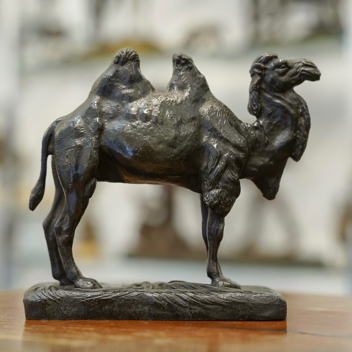 Sculpture - The Camel , Alfred Barye (1839-1895) - Bronze 