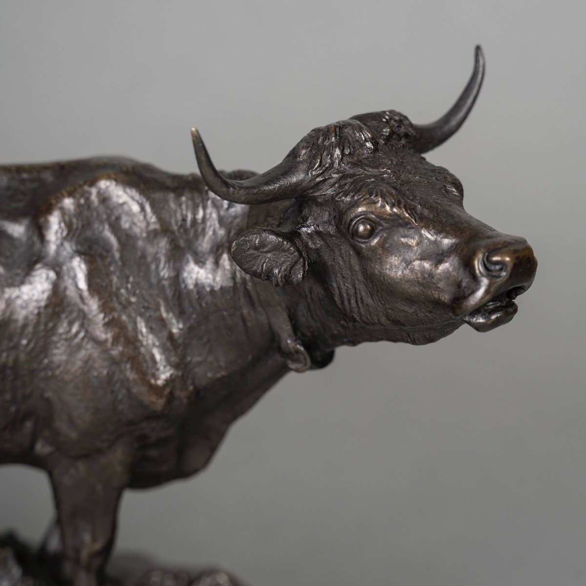 Sculpture - Cow , Isidore Bonheur (1827-1901) - Bronze-photo-3