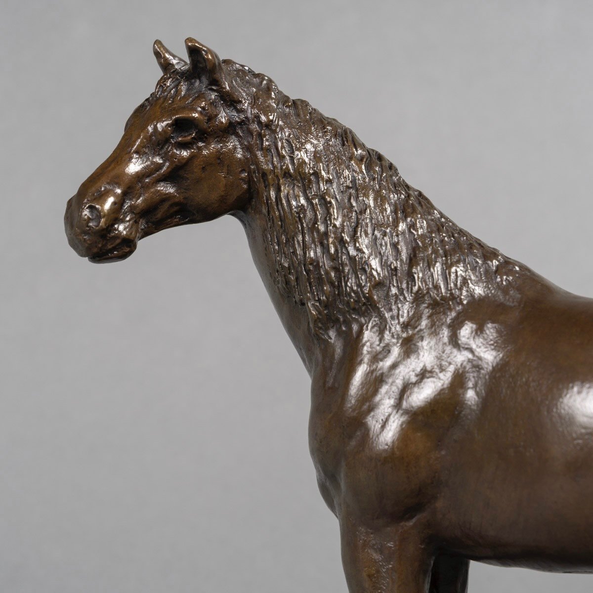 Sculpture - Cheval , Jean - François Leroy - Bronze-photo-3