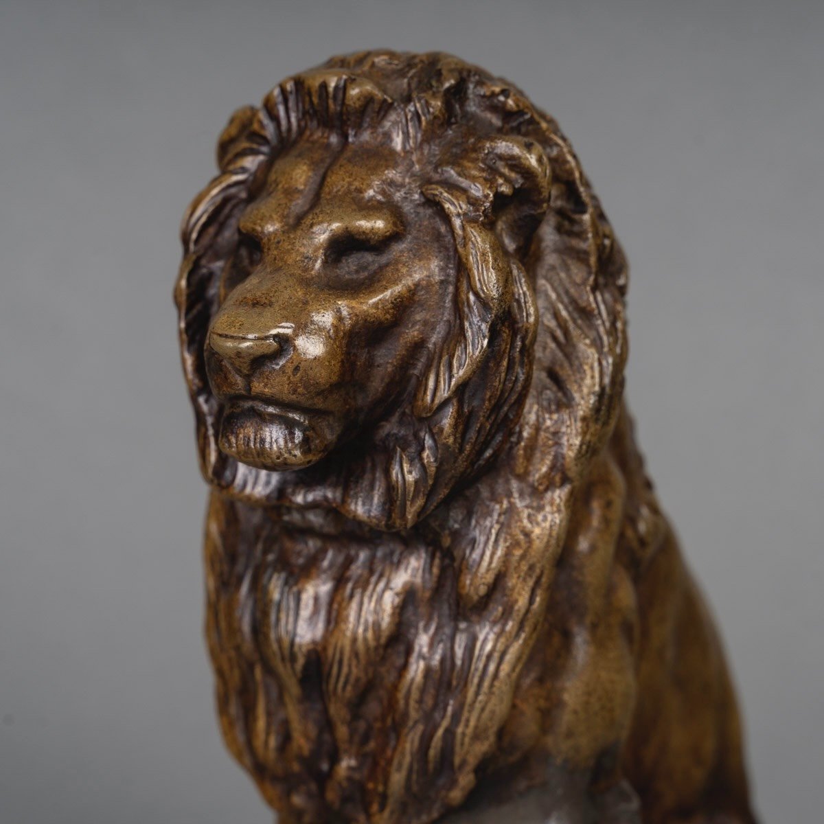 Sculpture - Lion Assis N°2 , Antoine - Louis Barye (1795-1875) - Bronze-photo-4