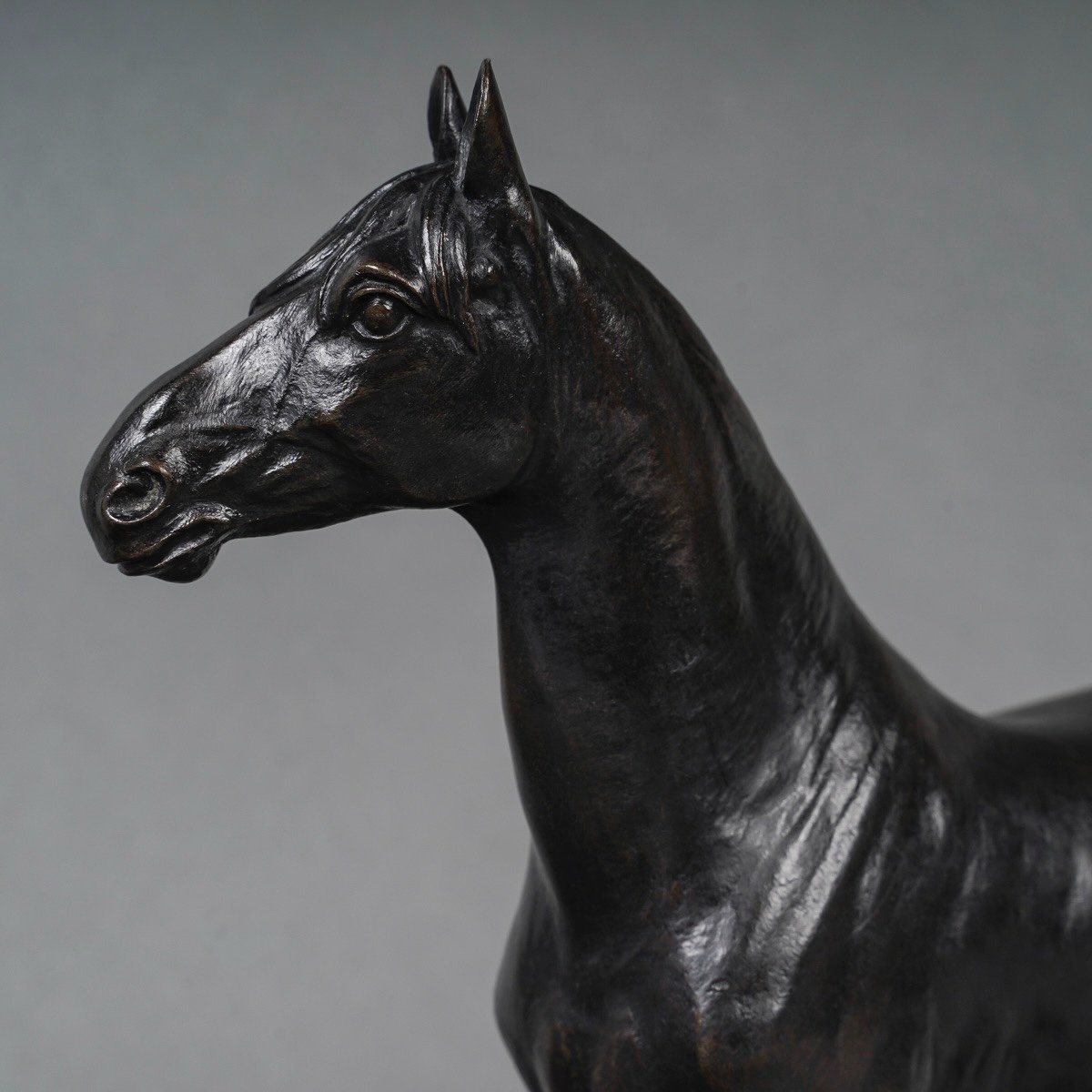 Sculpture - The Niger Horse , Alfred Dubucand (1828 - 1894) - Bronze -photo-3