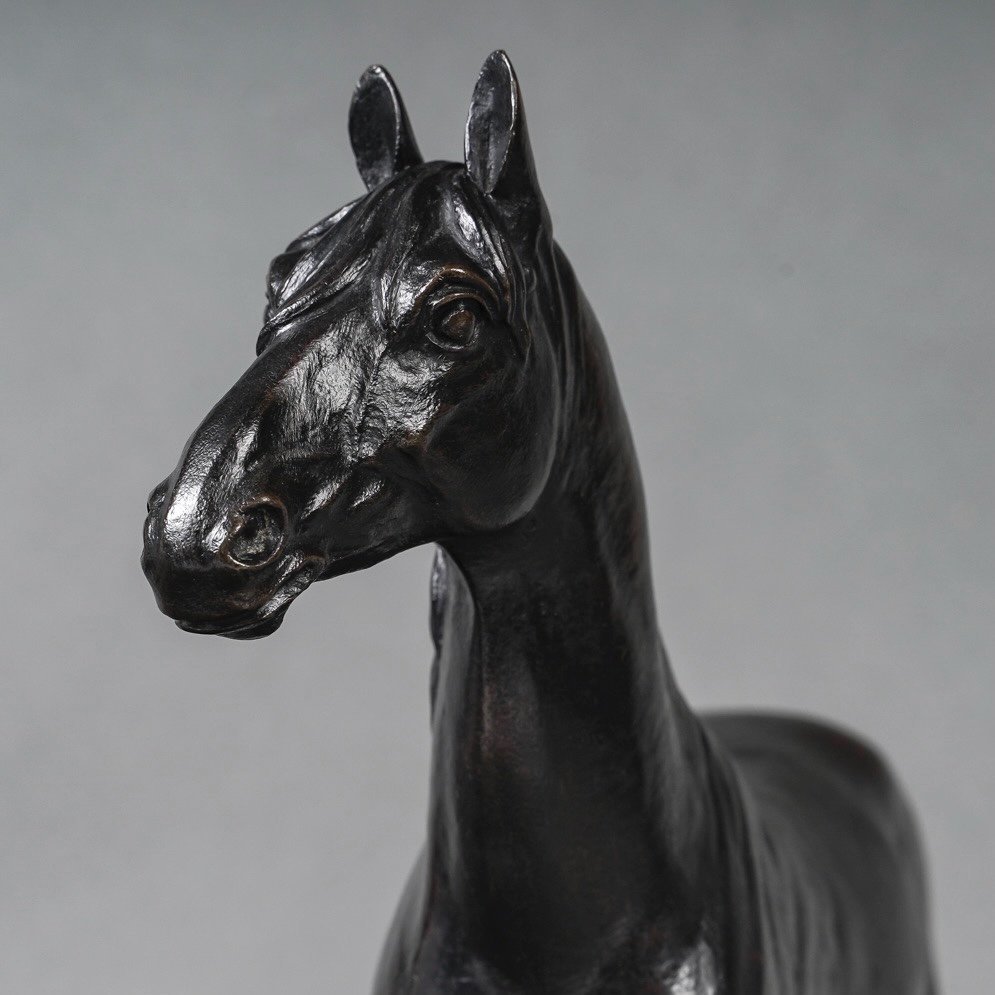 Sculpture - The Niger Horse , Alfred Dubucand (1828 - 1894) - Bronze -photo-4