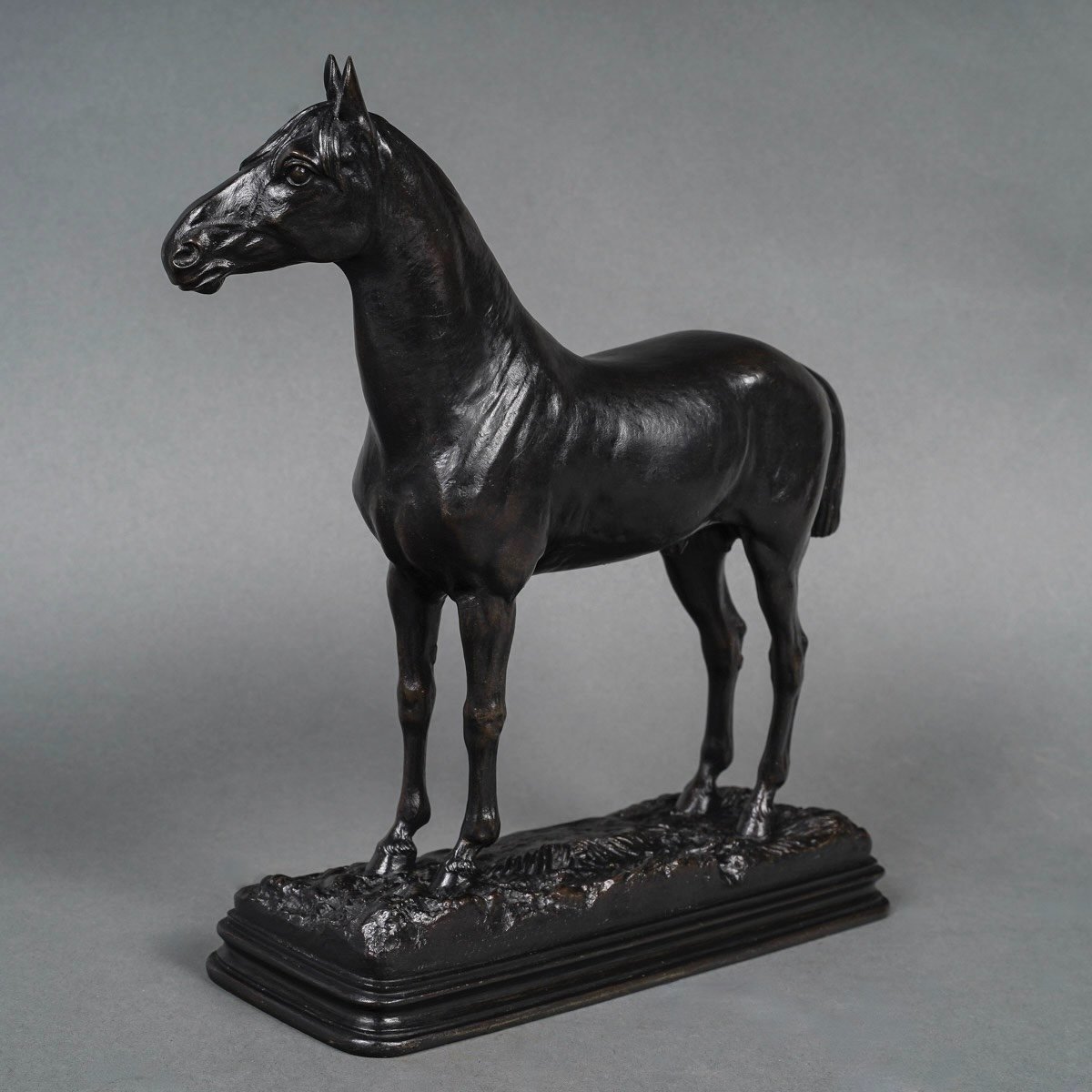 Sculpture - The Niger Horse , Alfred Dubucand (1828 - 1894) - Bronze -photo-2