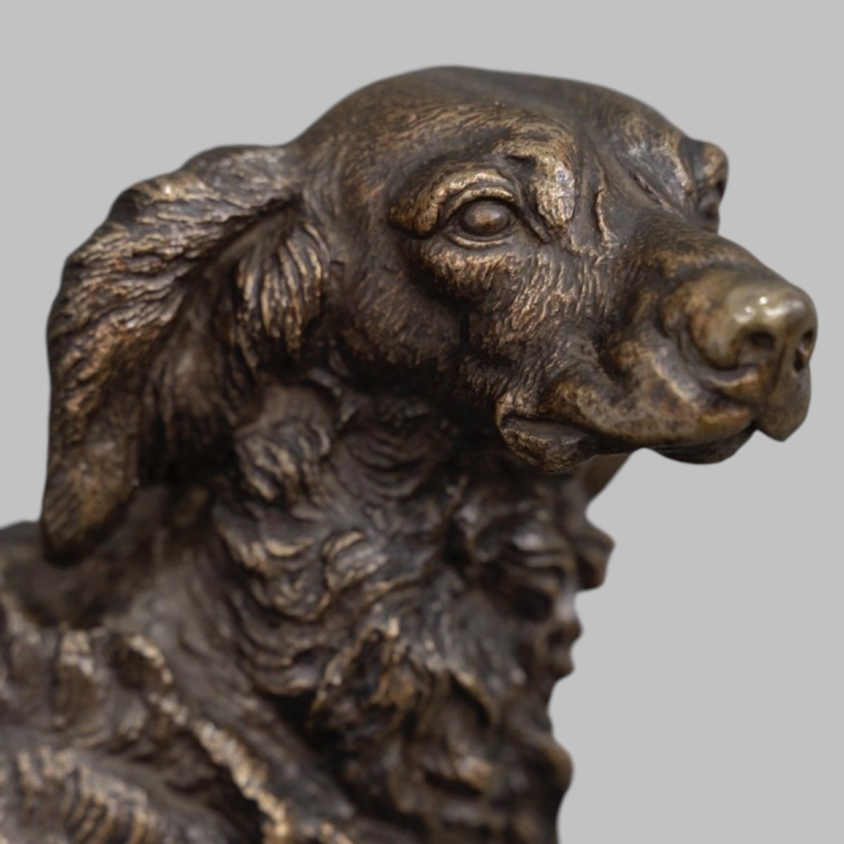 Sculpture  - Chien Épagneul À L' Affût , Ferdinand Pautrot (1832 - 1874) - Bronze-photo-3