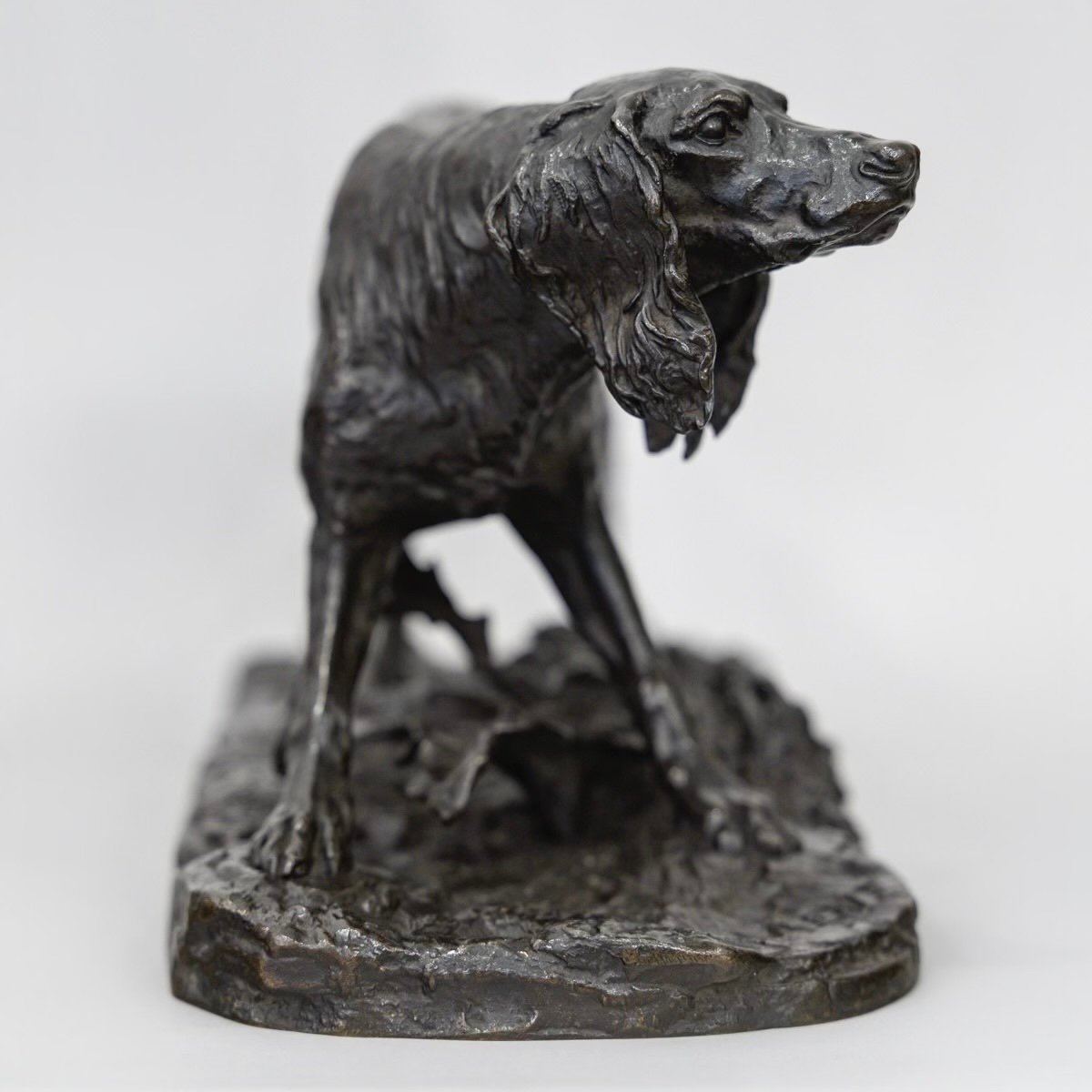 Sculpture - Setter Hunting Dog , Pierre-jules Mêne (1810-1879) - Bronze-photo-3