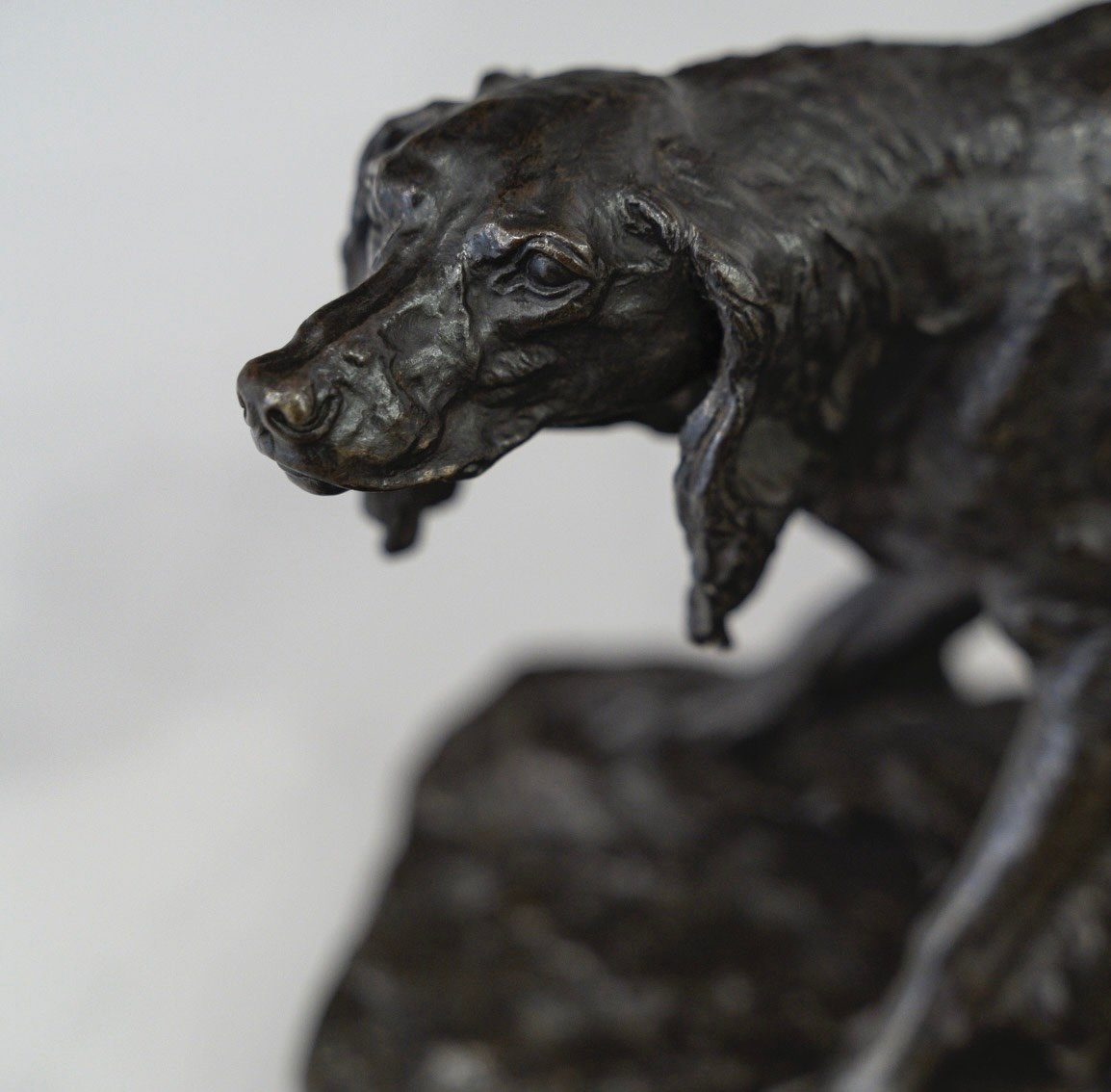 Sculpture - Setter Hunting Dog , Pierre-jules Mêne (1810-1879) - Bronze-photo-1