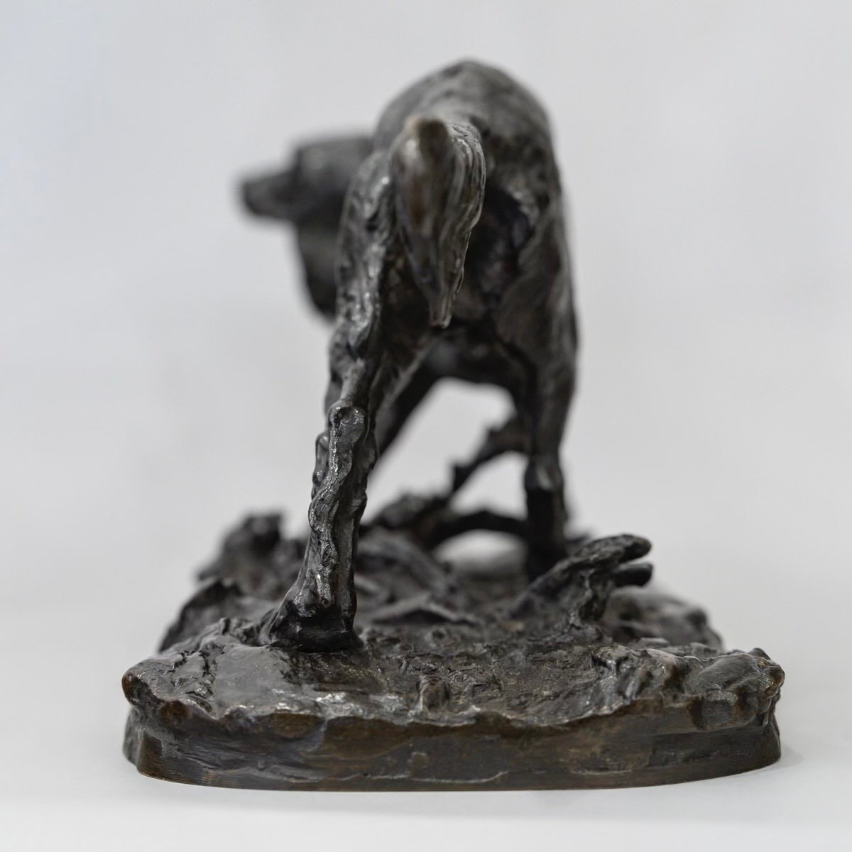 Sculpture - Setter Hunting Dog , Pierre-jules Mêne (1810-1879) - Bronze-photo-3