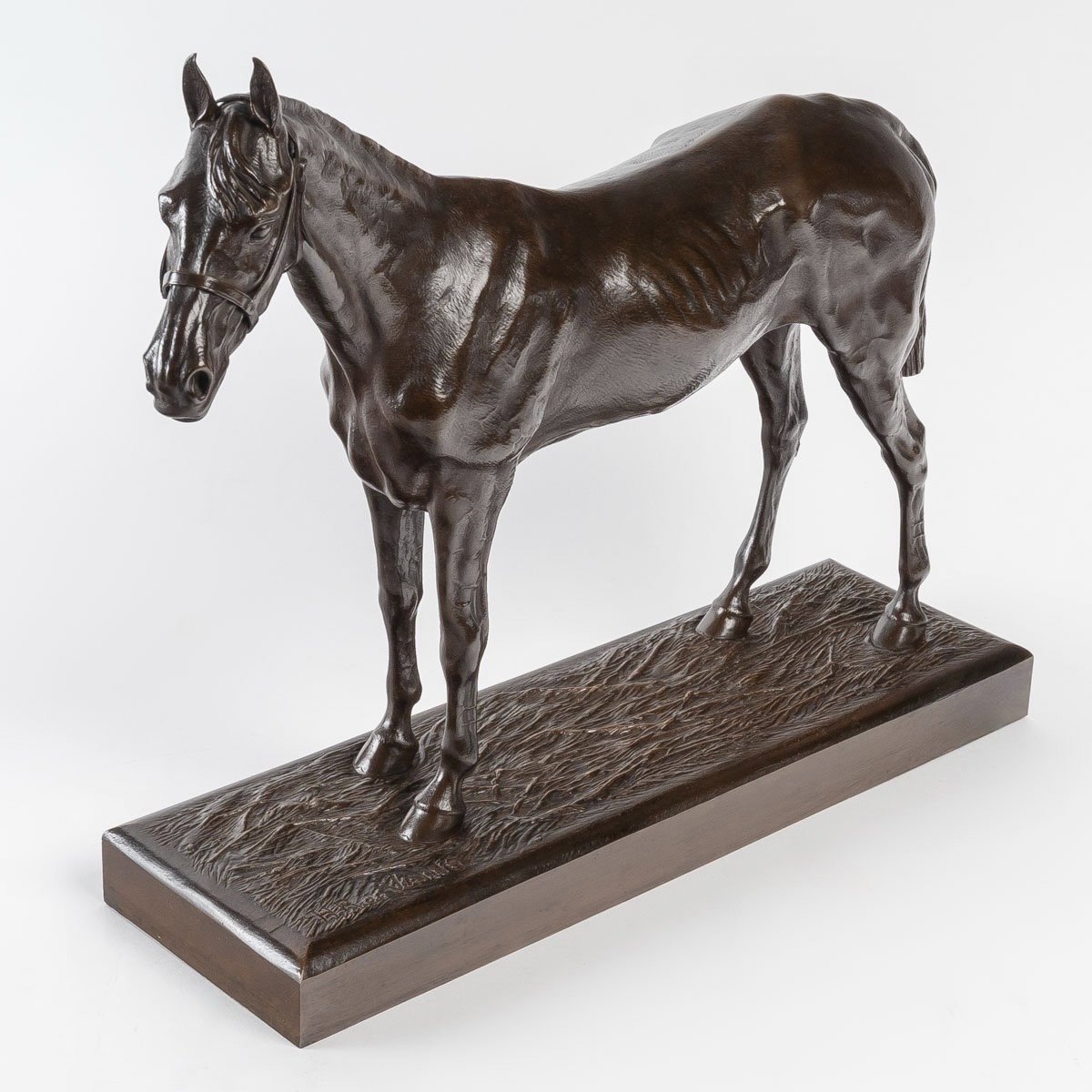 Sculpture - Racehorse , Henri De Vains (1851-1909) - Bronze -photo-4