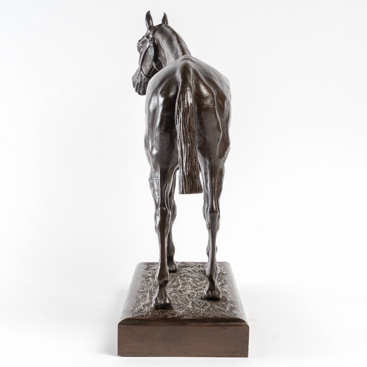 Sculpture - Racehorse , Henri De Vains (1851-1909) - Bronze -photo-2