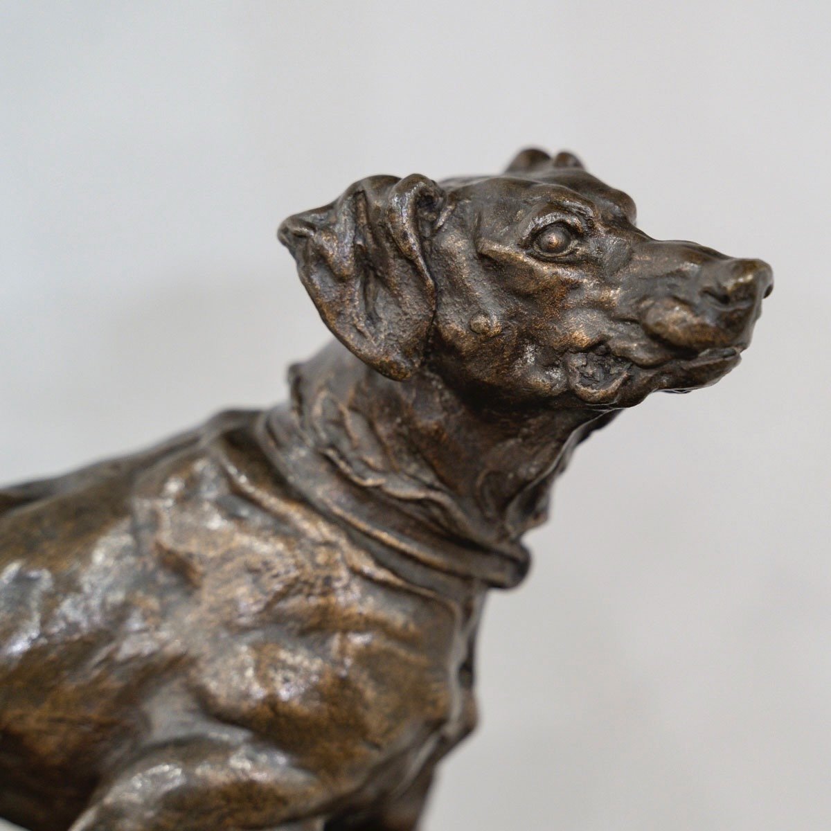 Sculpture - Marly Pointer Dog , Pierre - Jules Mêne (1810-1879) - Bronze-photo-2