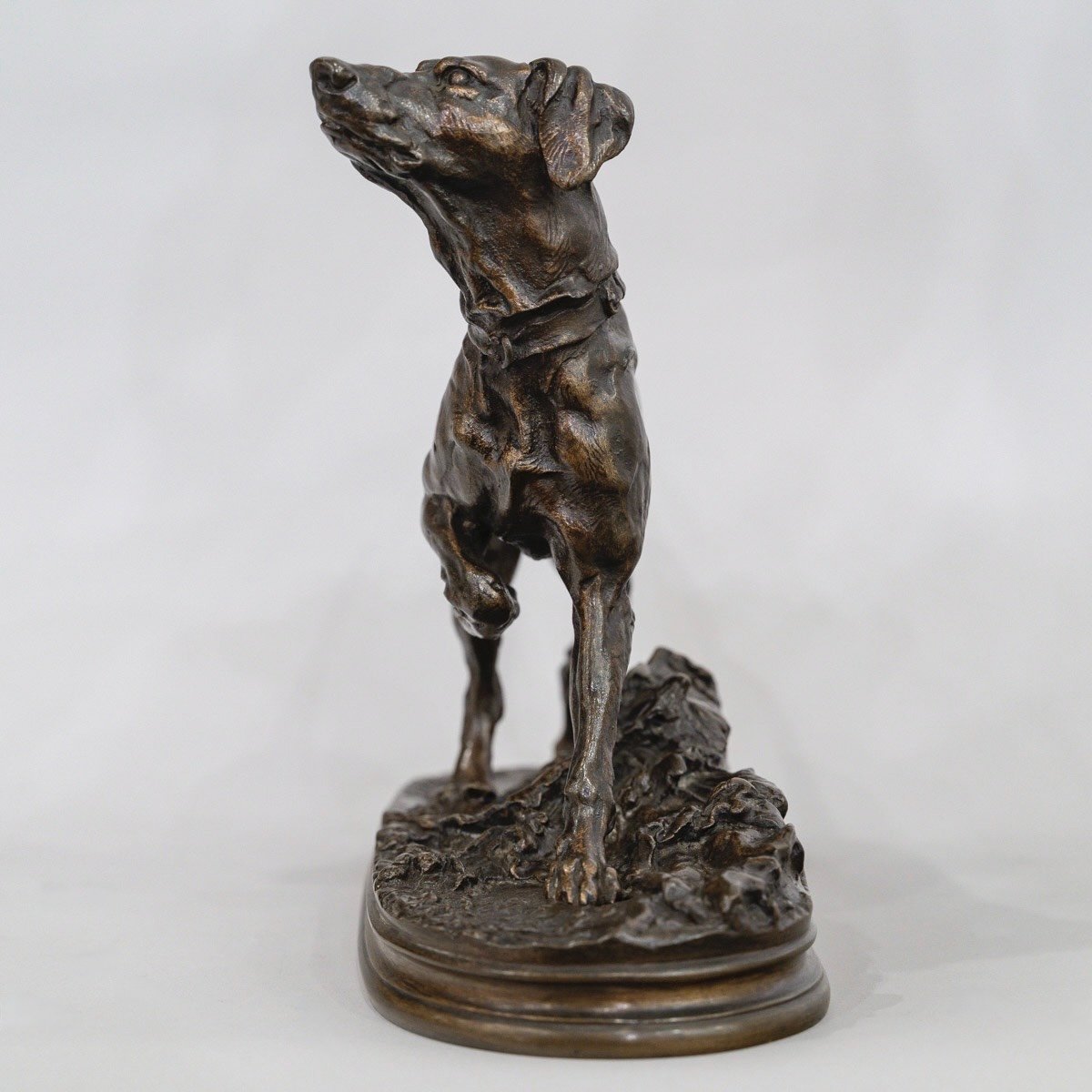 Sculpture - Marly Pointer Dog , Pierre - Jules Mêne (1810-1879) - Bronze-photo-4