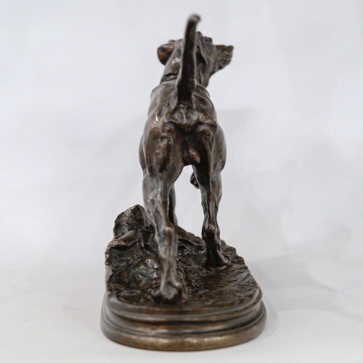 Sculpture - Marly Pointer Dog , Pierre - Jules Mêne (1810-1879) - Bronze-photo-1