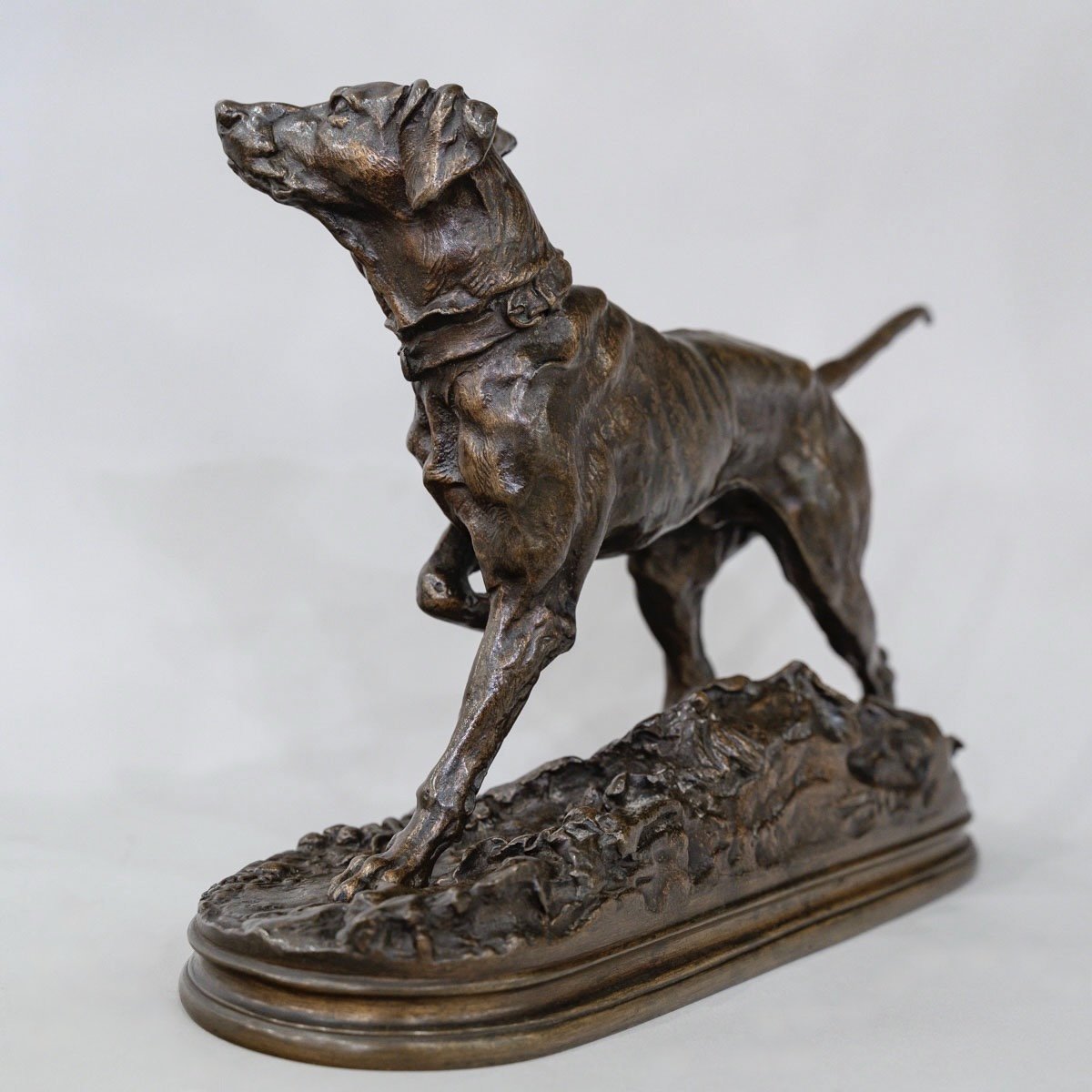 Sculpture - Marly Pointer Dog , Pierre - Jules Mêne (1810-1879) - Bronze-photo-2