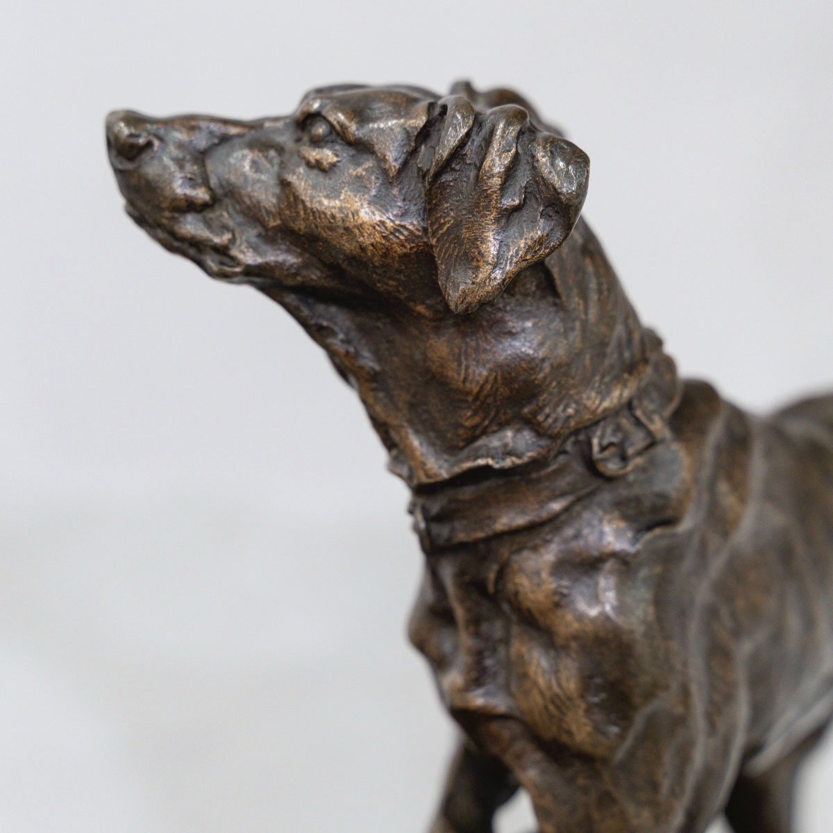 Sculpture - Marly Pointer Dog , Pierre - Jules Mêne (1810-1879) - Bronze-photo-3