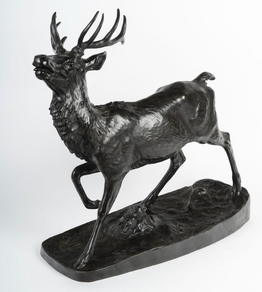 Sculpture - Standing Deer (large Model) , Antoine - Louis Barye (1795-1875) - Bronze -photo-2