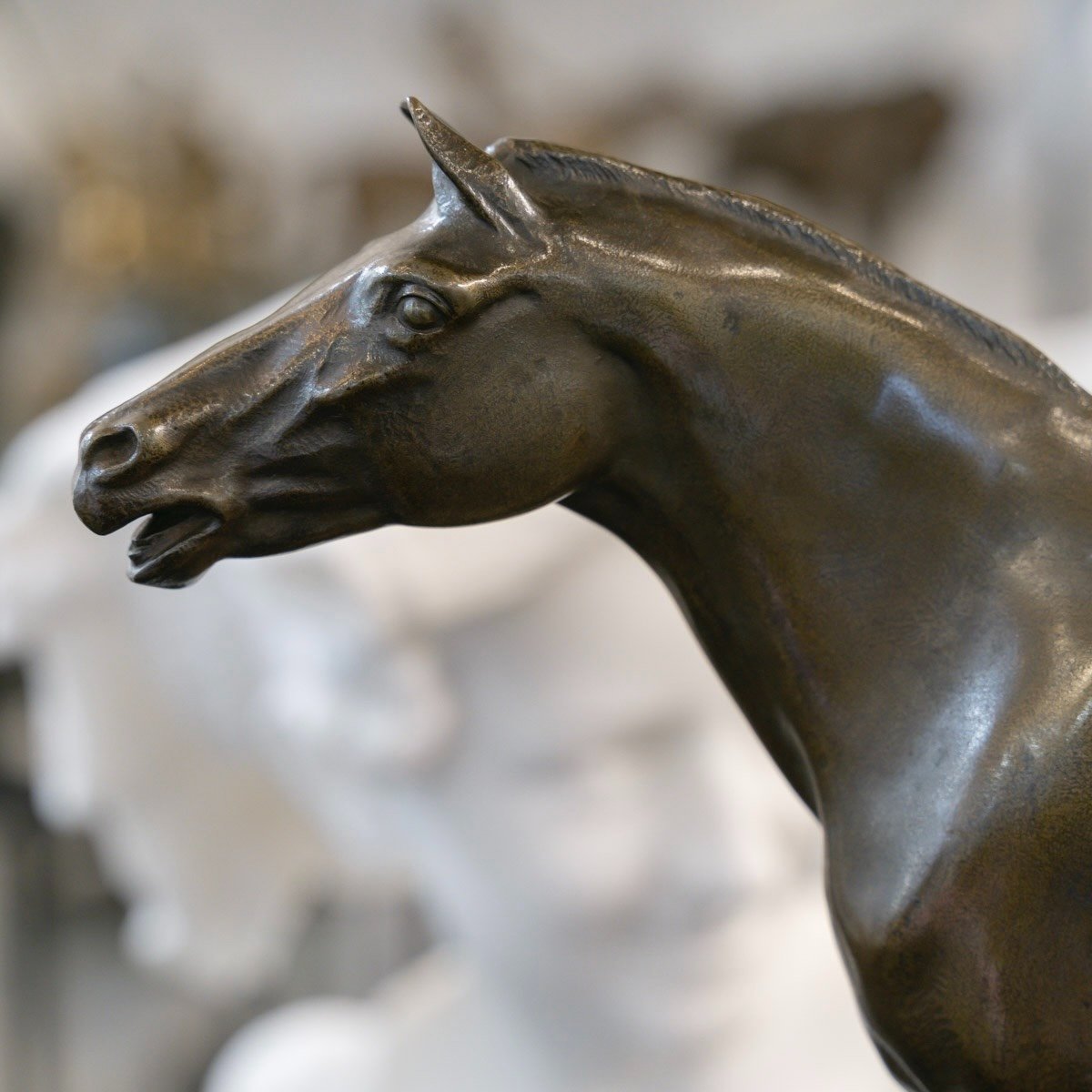 Sculpture - The Free Horse , Alfredo Biagini (1886 – 1952) - Bronze-photo-2