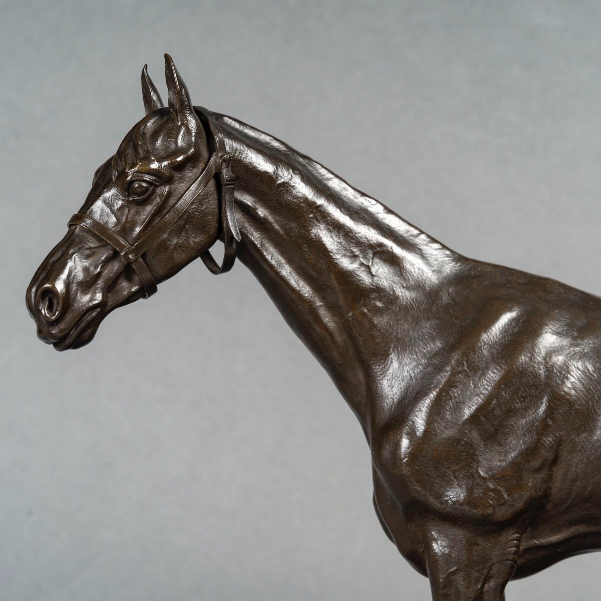 Sculpture - Racehorse , Henri De Vains (1851-1909) - Bronze -photo-3