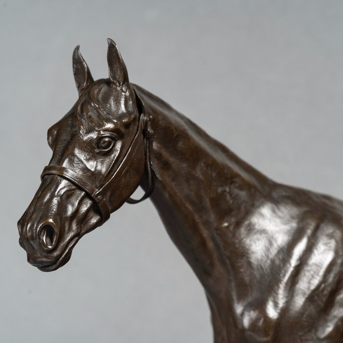 Sculpture - Racehorse , Henri De Vains (1851-1909) - Bronze -photo-3