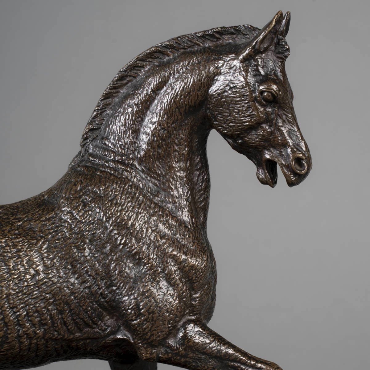 Sculpture - Stallion , Paul - Edouard Delabrierre (1829-1912) - Bronze-photo-2