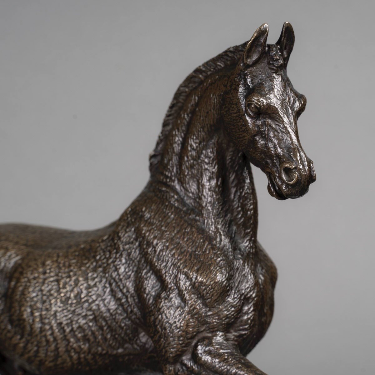 Sculpture - Stallion , Paul - Edouard Delabrierre (1829-1912) - Bronze-photo-1