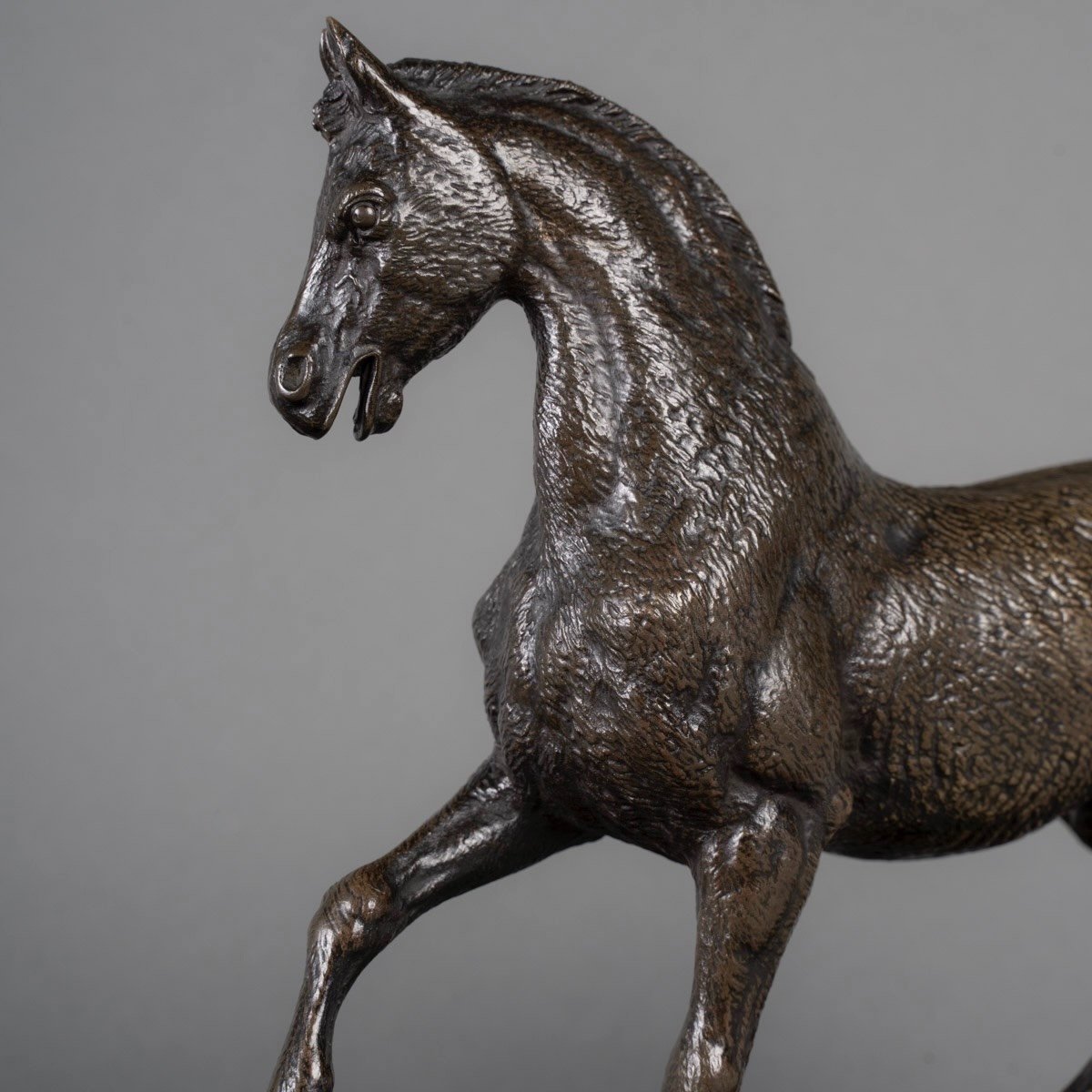 Sculpture - Stallion , Paul - Edouard Delabrierre (1829-1912) - Bronze-photo-4