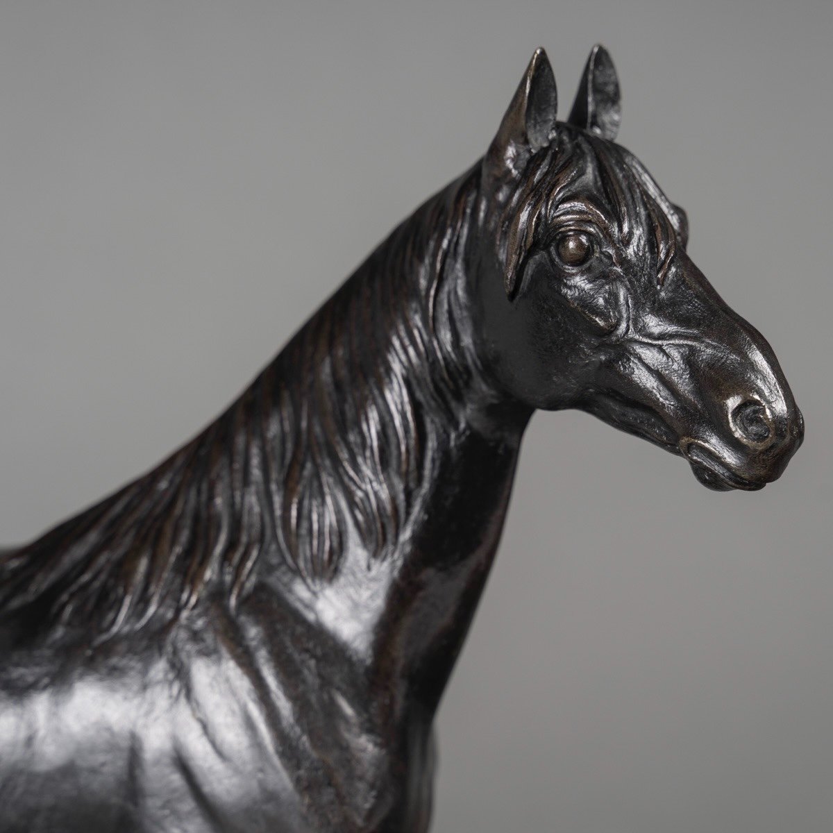 Sculpture - Le Cheval Niger , Alfred Dubucand (1828 - 1894) - Bronze -photo-2