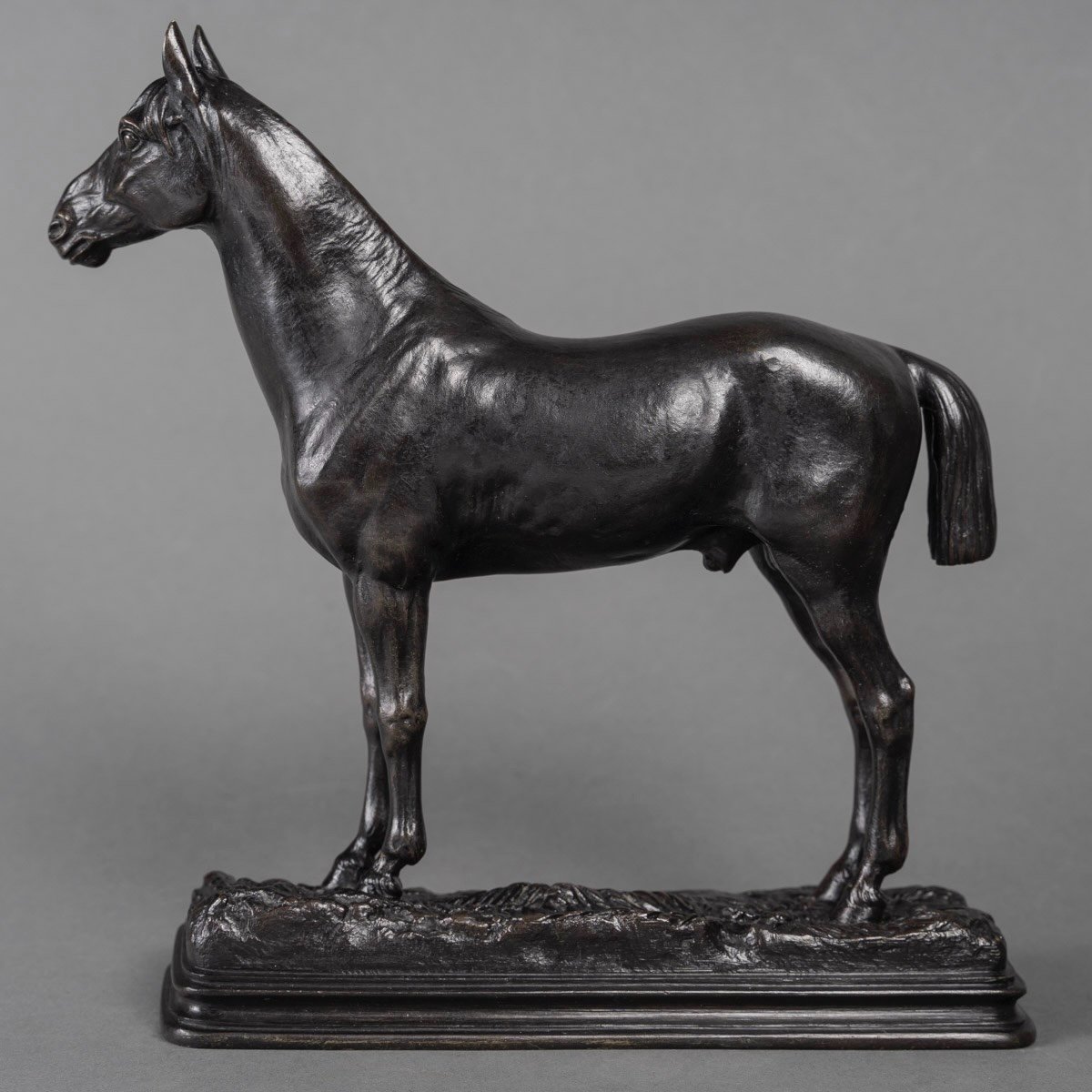 Sculpture - Le Cheval Niger , Alfred Dubucand (1828 - 1894) - Bronze -photo-1