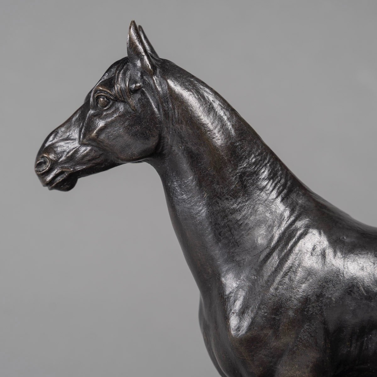 Sculpture - Le Cheval Niger , Alfred Dubucand (1828 - 1894) - Bronze -photo-2