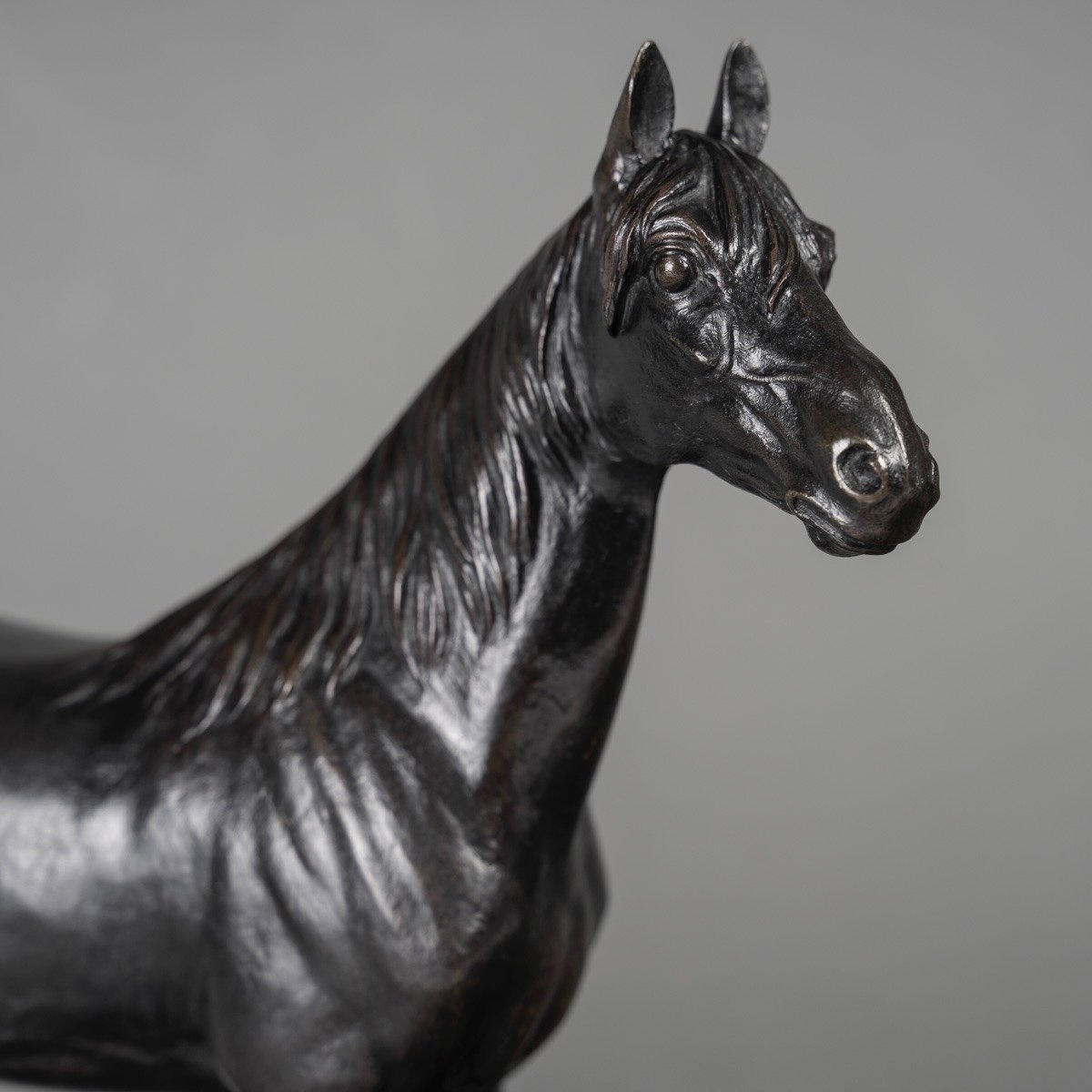 Sculpture - Le Cheval Niger , Alfred Dubucand (1828 - 1894) - Bronze -photo-4