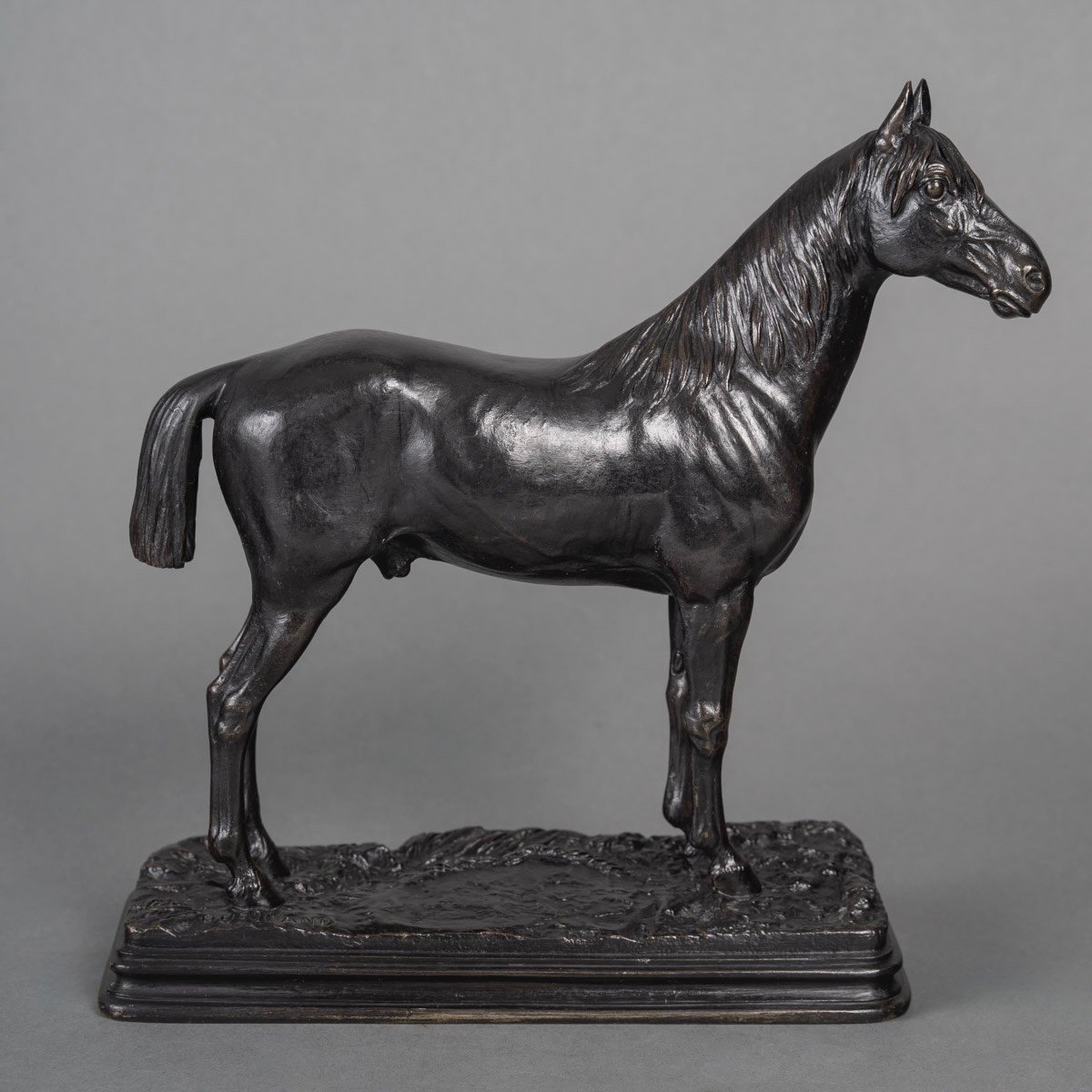 Sculpture - Le Cheval Niger , Alfred Dubucand (1828 - 1894) - Bronze 