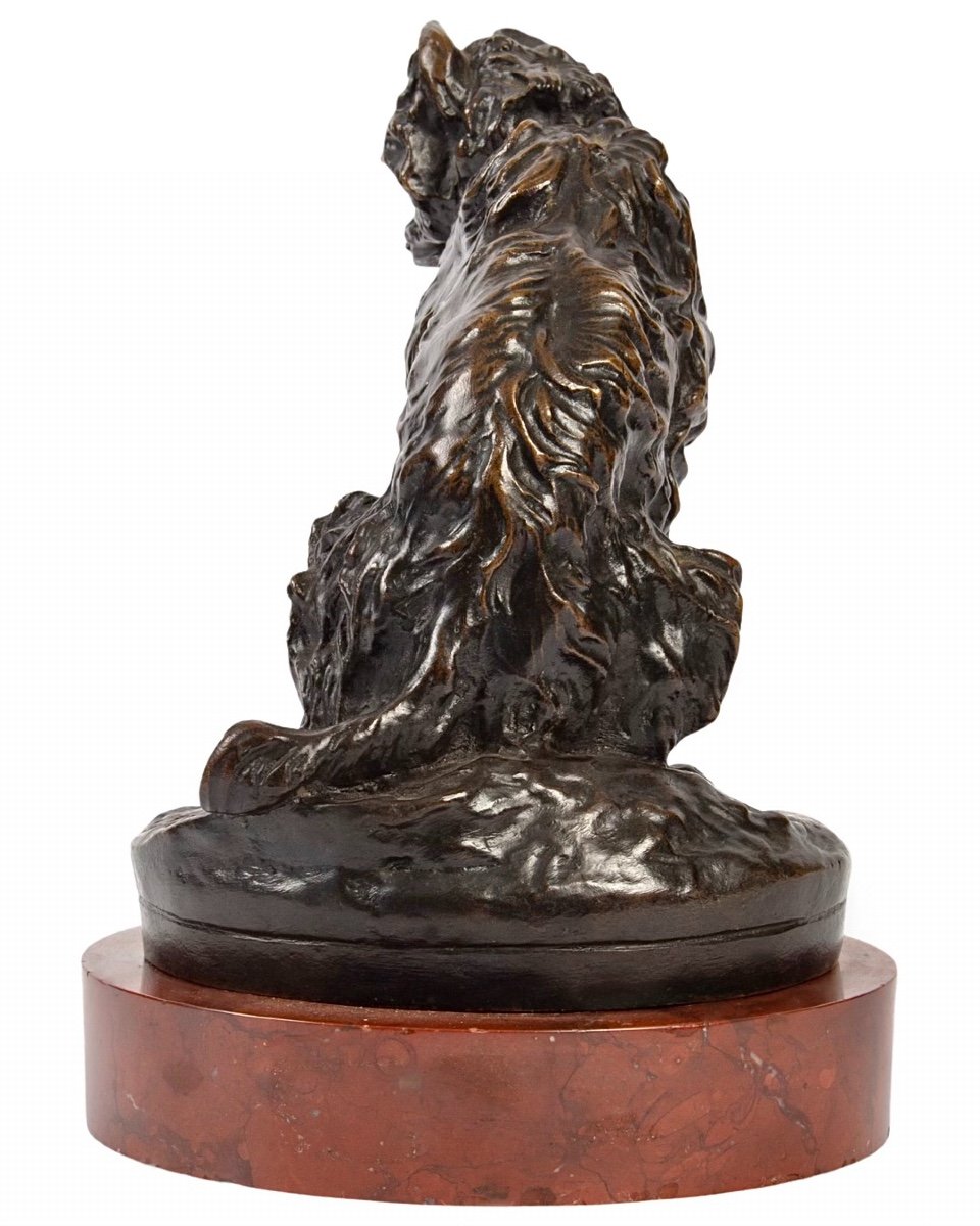 Sculpture - Sitting Griffon Dog By Pierre - Jules Mène (1810-1879) - Bronze-photo-3