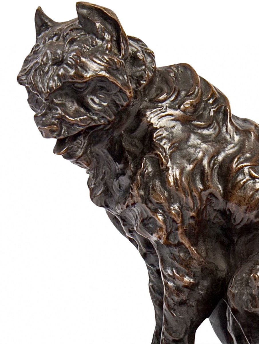 Sculpture - Sitting Griffon Dog By Pierre - Jules Mène (1810-1879) - Bronze-photo-4