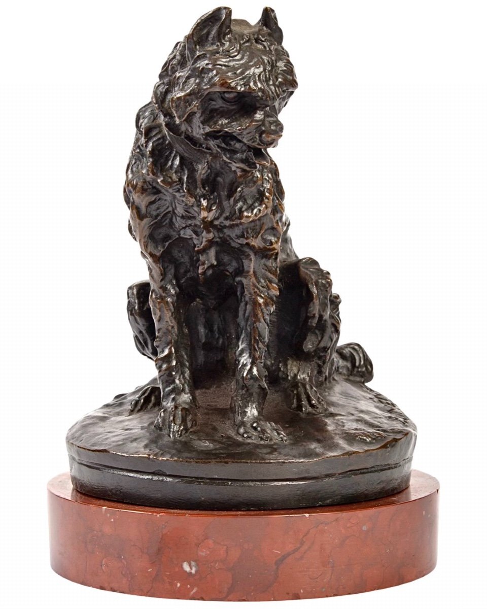 Sculpture - Sitting Griffon Dog By Pierre - Jules Mène (1810-1879) - Bronze