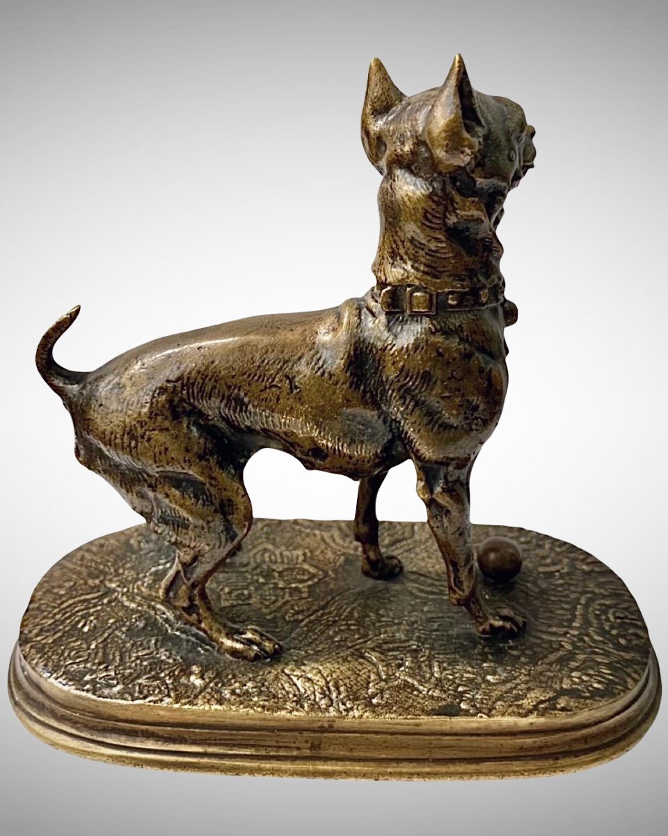 Sculpture - Chienne à La Balle Par Pierre - Jules Mène (1810 – 1879) - Bronze-photo-1