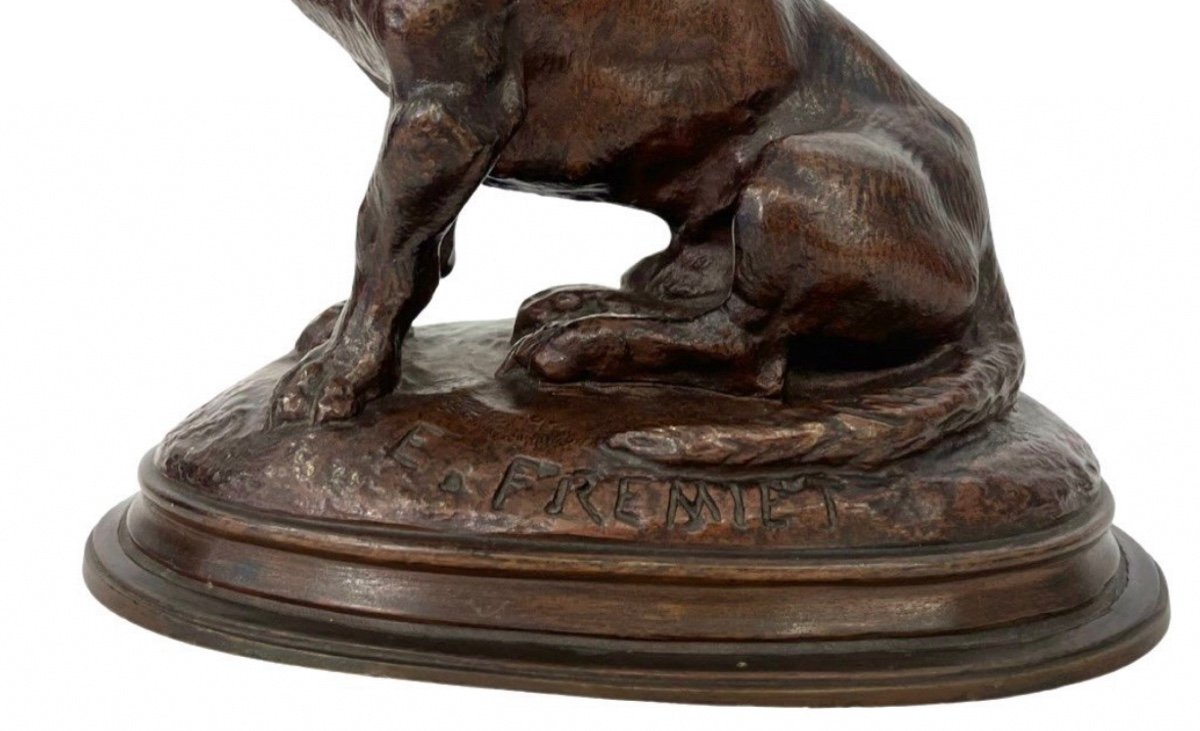 Sculpture - Chien Basset Par Emmanuel Frémiet (1824 - 1910) - Bronze XIX ème siècle-photo-6