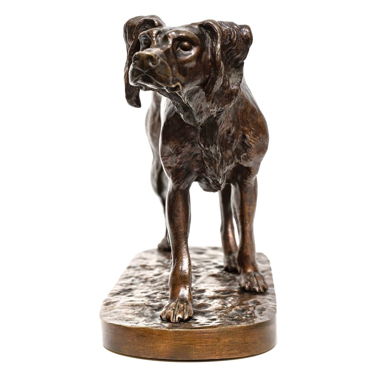 Sculpture - Setter Dog By Jules Moigniez (1835 - 1894) - Bronze XIX Th Century-photo-4