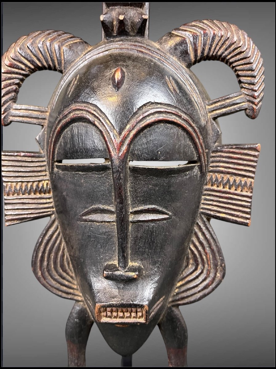 Senufo Kpelie Mask, Ivory Coast-photo-5