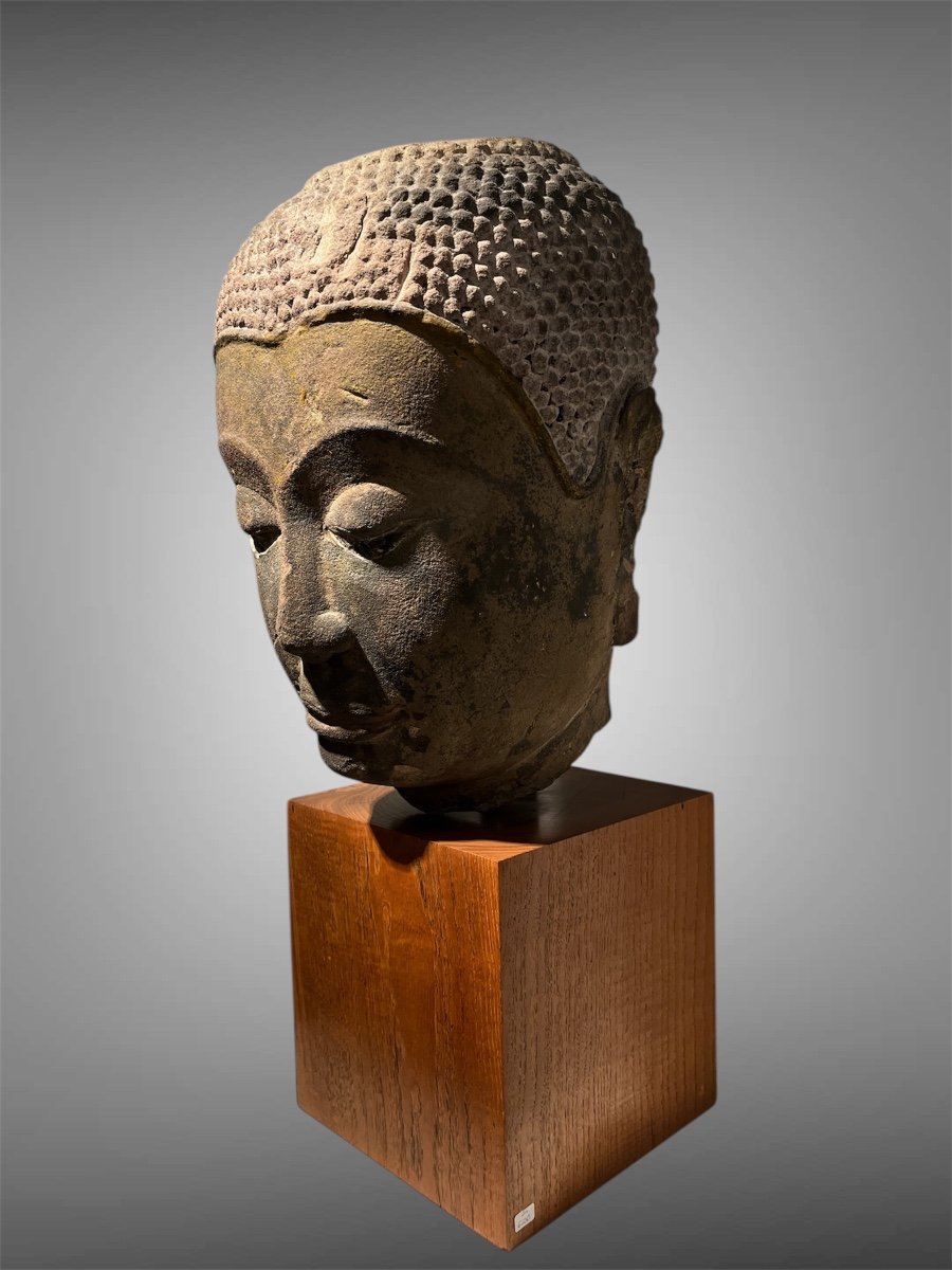 U Tong Buddha Head, Thailand-photo-3