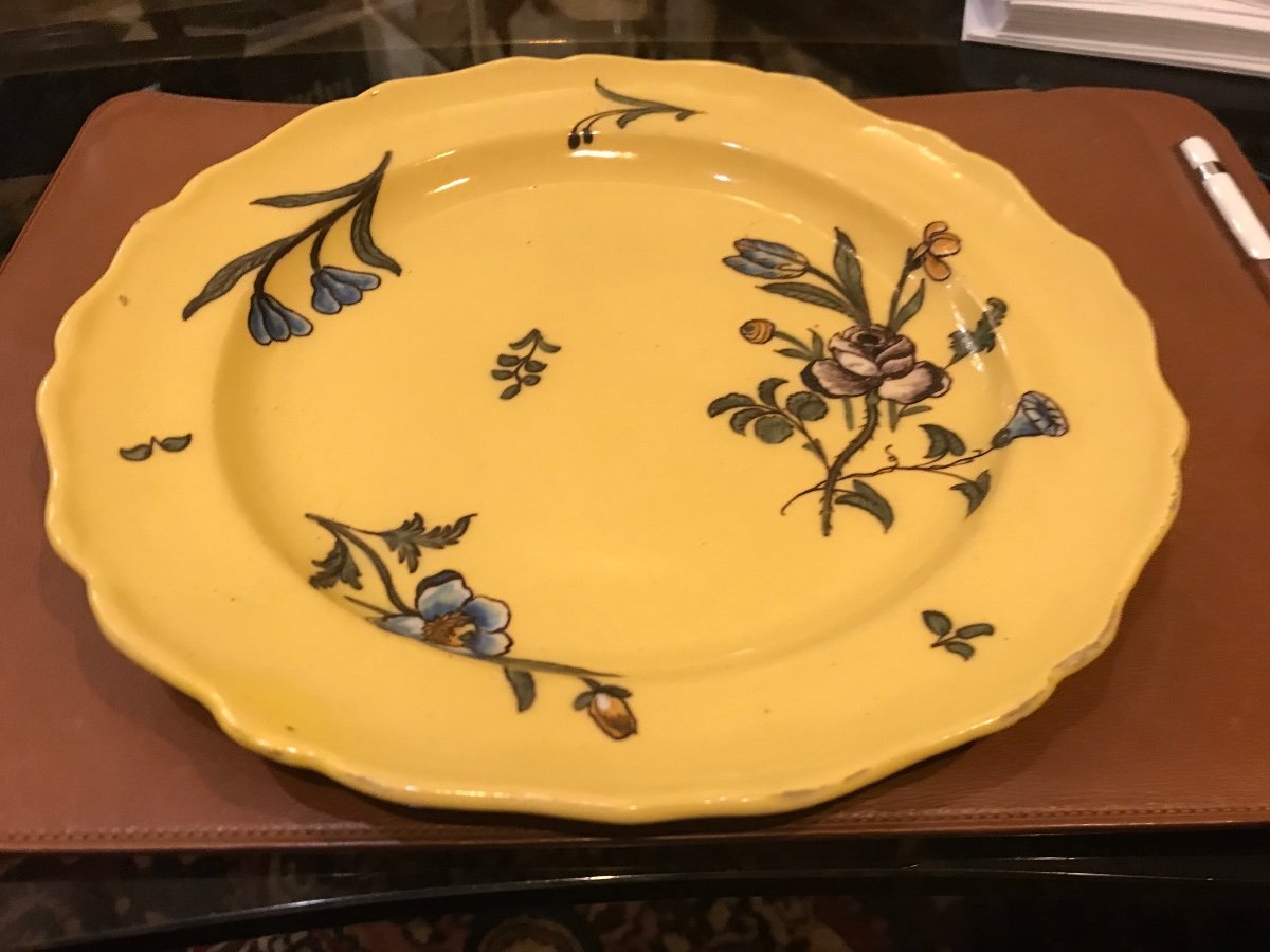 Beautiful 18th Century Marseille Earthenware Plate By Fauchier-photo-5