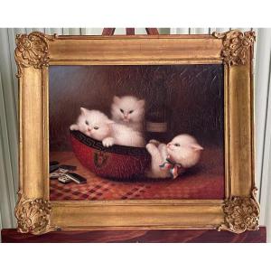 Portrait Of White Kittens Playing Dominoes 