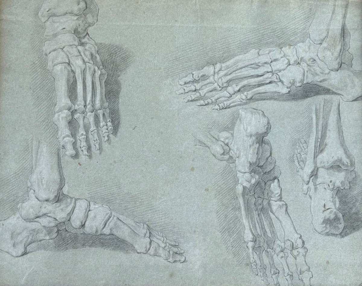 Study Of A Foot Skeleton, French School, 18th Century-photo-2