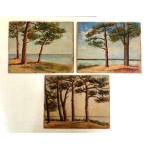  Regionalist Painting Arcachon Basin Les Abatilles Le Pyla Early 20th Century