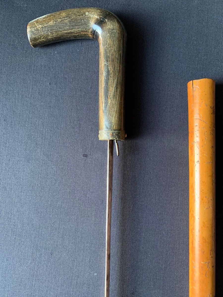 Sword Cane - 20th Century-photo-2