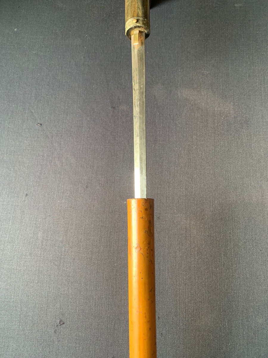 Sword Cane - 20th Century-photo-3